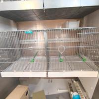 Gabbione da 90 per uccelli Domus Molinari 