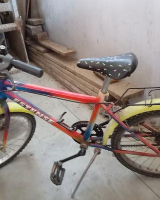 Mountain bike bambino