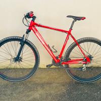 Mtb LOMBARDO con cerchi da 29