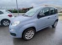 fiat-panda-fiat-panda-0-9-benzina-metano-ok-neo