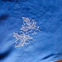 tovaglia senza tovaglioli