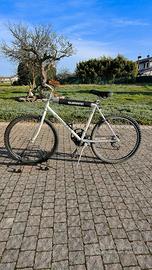 Bicicletta Mountain Bike Shimano 