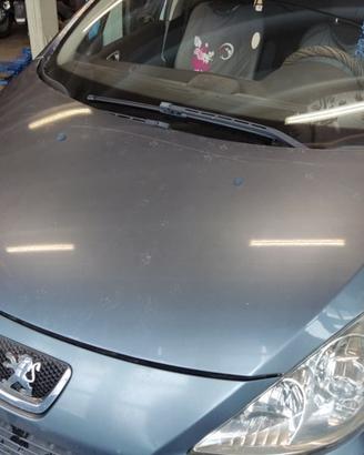 Cofano PEUGEOT 307 del 2006