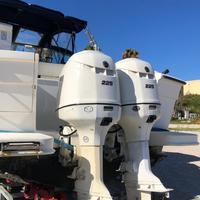 Coppia Evinrude 225