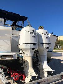 Coppia Evinrude 225