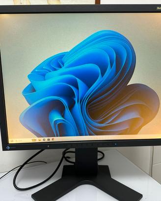 Monitor EIZO FlexScan MX210 21" con cavi