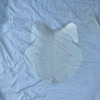 Cupolino Bmw Gs 1200