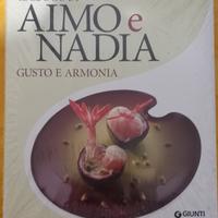 I luoghi di Aimo e Nadia 