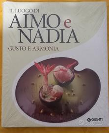 I luoghi di Aimo e Nadia 