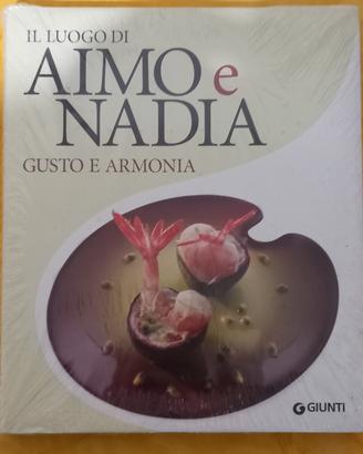 I luoghi di Aimo e Nadia 