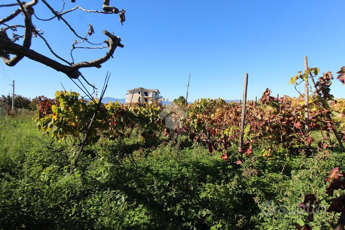 TER. AGRICOLO A REGGIO DI CALABRIA - Vista 4