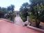 Immagine 21