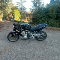 Er6n depotenziata A2