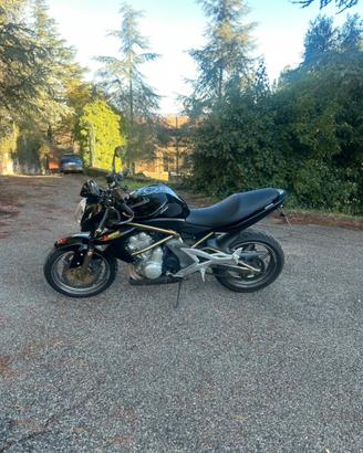 Er6n depotenziata A2