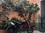Immagine 5