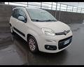 fiat-panda-1-2-lounge