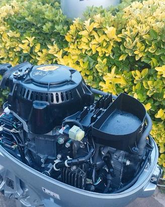 tender + motore honda