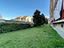 Immagine 29