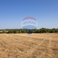 Terreno - Noto
