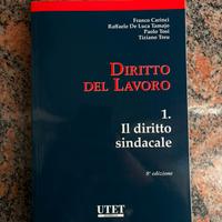 Diritto del lavoro 1, Utet, Ottava Edizione