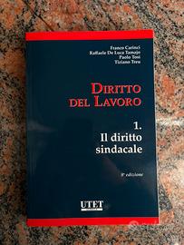 Diritto del lavoro 1, Utet, Ottava Edizione