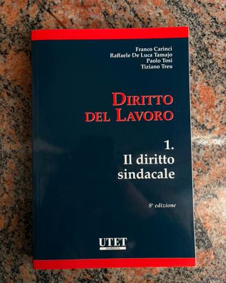 Diritto del lavoro 1, Utet, Ottava Edizione