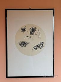 Serigrafia Firmata Numerata Ugo Nespolo 57/150