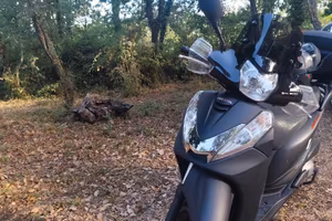 Honda SH 300