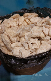 Lana grezza di pecora per materassi