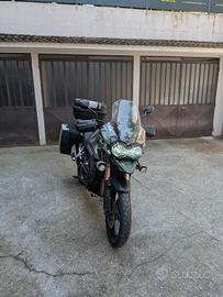 Triumph Tiger 1215 explorer