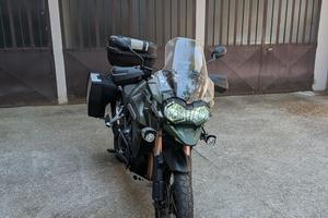 Triumph Tiger 1215 explorer