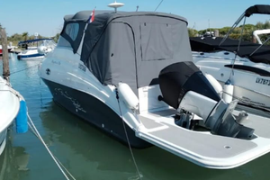Aquabat sport cruiser 24+Mercury 300