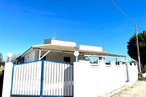 White Home
