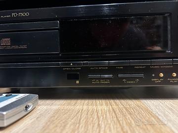 Pioneer PD-7300