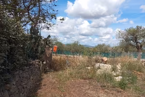 S.V. Pischina Ruia-Terreno uliveto con Casa C2