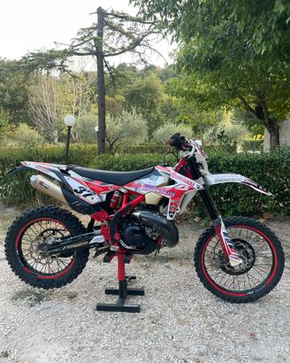 Beta 300 RR 2019