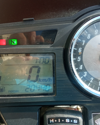 Honda Hornet