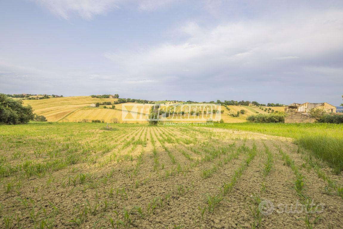 Terreno agricolo di 36.600 mq a Morrovalle! - Vista 4