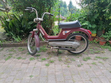 Piaggio boxer
