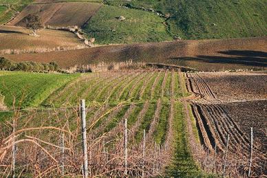 RGE 90/2021 Trib Trapani - LOTTO 5