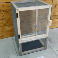 Teca gabbia insetti stecco 40cm RETE