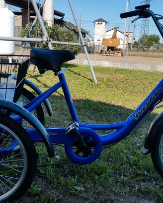 bicicletta elettrica 3 ruote