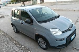 Fiat Panda 1.0cc ibrida