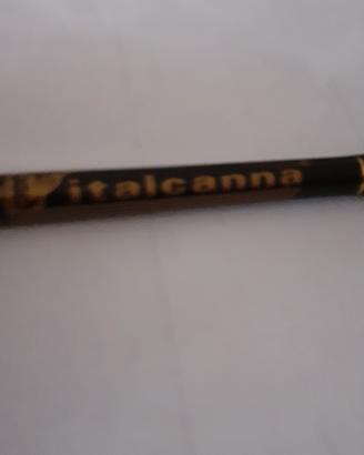 ITALCANNA BALTIMORA 2