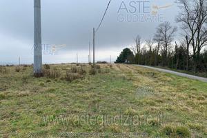Terreno Agricolo Osimo [A4304259]