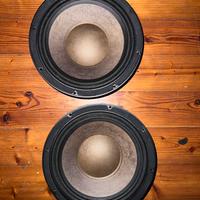 Woofer ciare 25