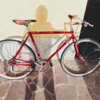 Campagnolo