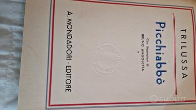 LIBRO ILLUSTRATO DA BRUNO ANGOLETTA