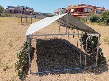 gabbia per galline