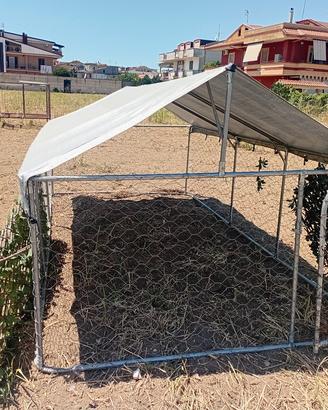 gabbia per galline